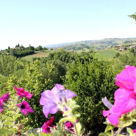 Alta The Adults Only Boutique