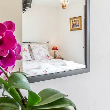 Bed and breakfast Alta The Adults Only Boutique Vigliano d'Asti