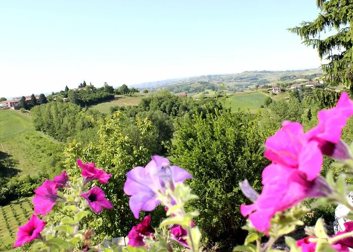 Alta The Adults Only Boutique