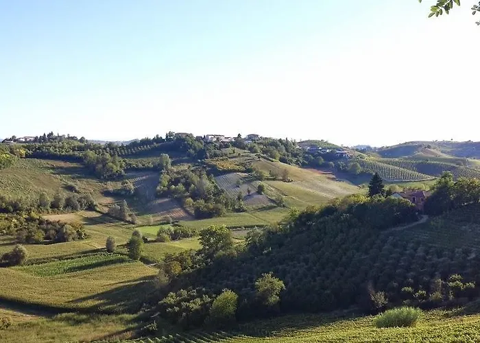 Alta The Adults Only Boutique