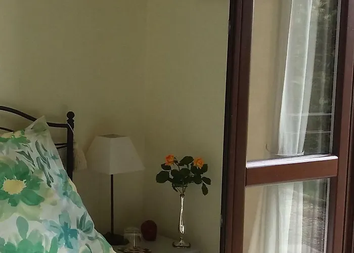 Alta The Adults Only Boutique